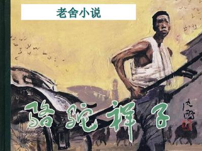 桃花源聚合破解版盒子